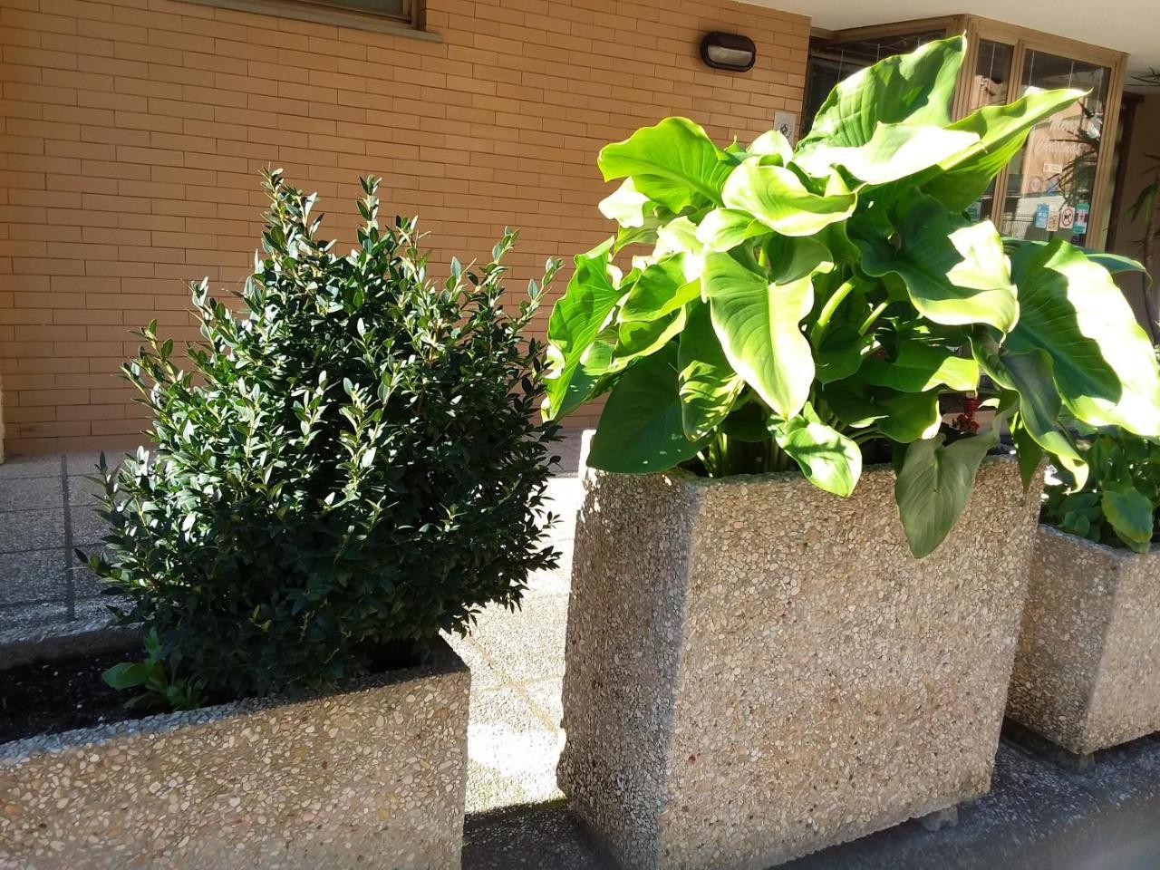 Albergo Nyers Perugia Eksteriør billede